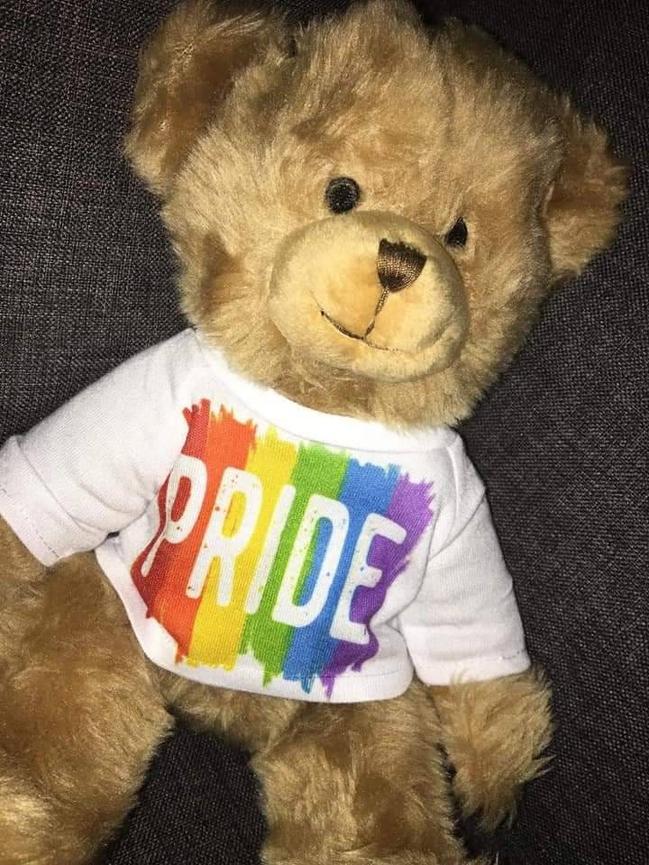 Pride Bear Teddy LGBT