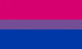 Bisexual Flag 3ftx5ft
