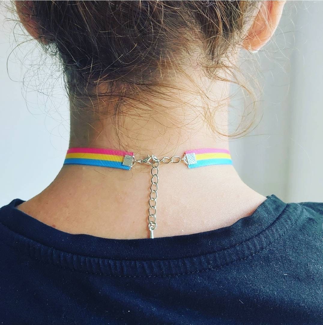 Pansexual Choker necklace Adjustable