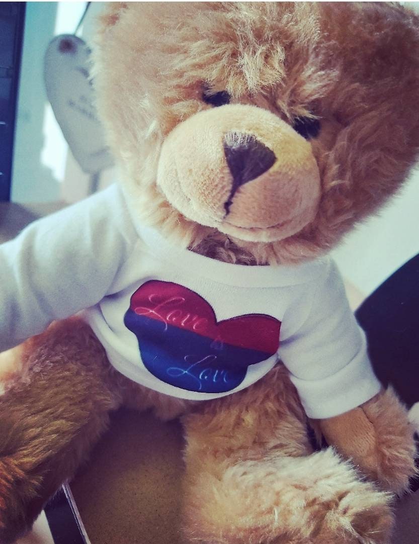 Pride Bear Teddy LGBT