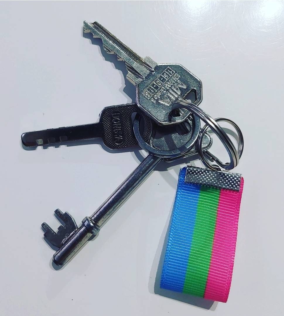 Polysexual Pride Keyring LGBTQIA+