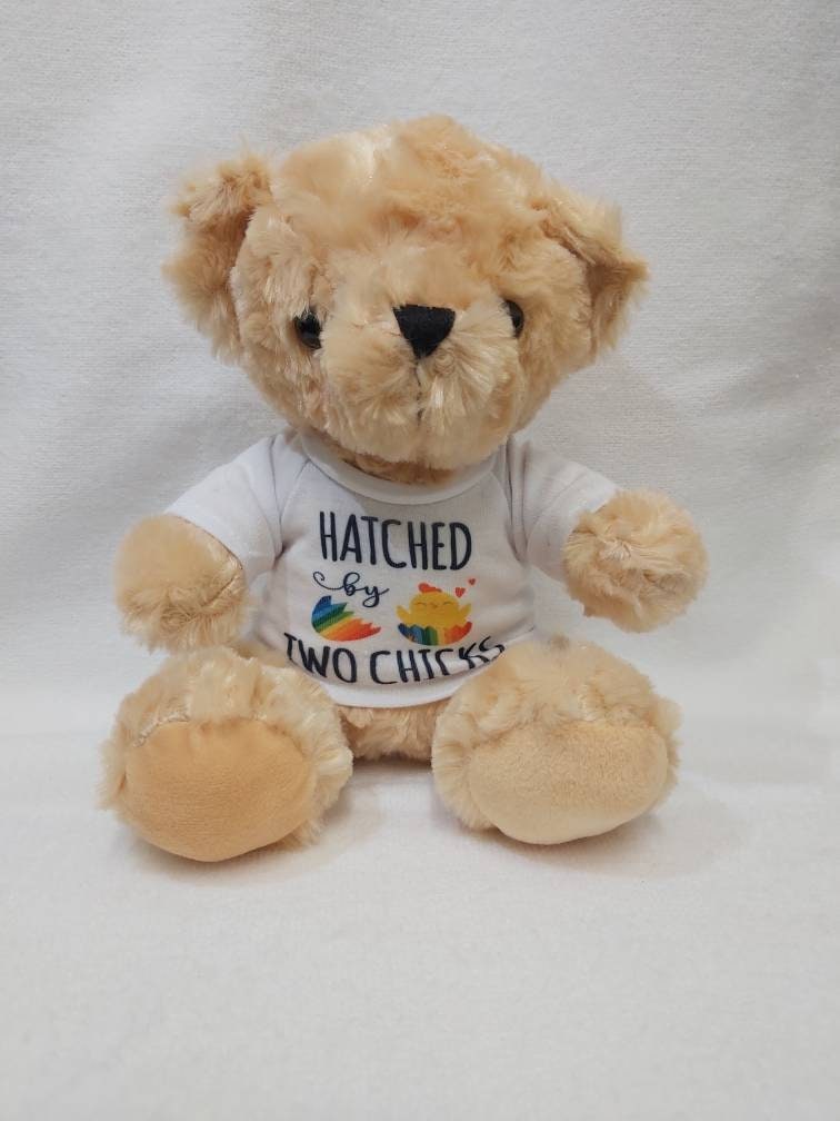Two mums pride Teddy bear. Hatched by two chick's.