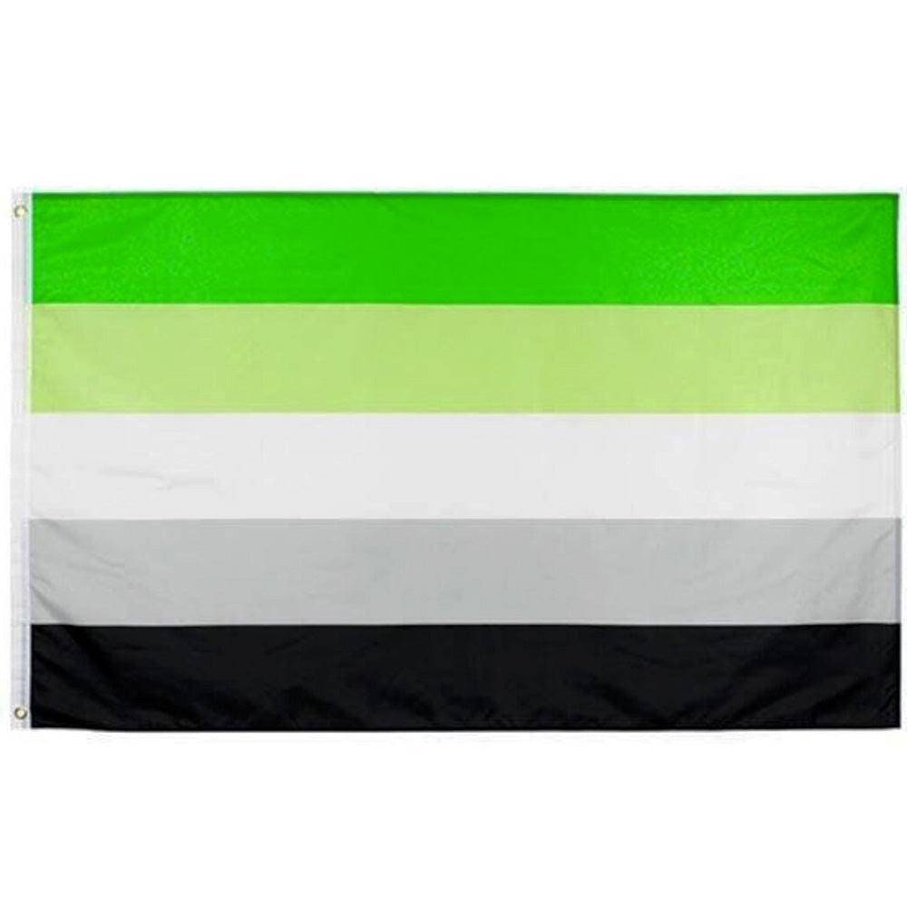 Aromantic Flag 3ftx5ft