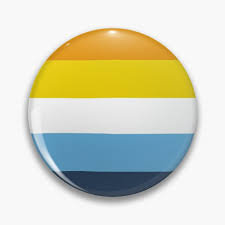 Aroace lgbtqi+ pride pin