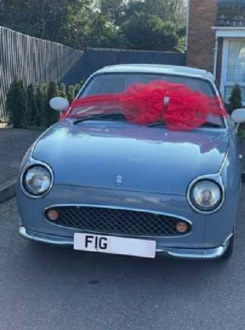 Gift Bow, Car, Bike etc