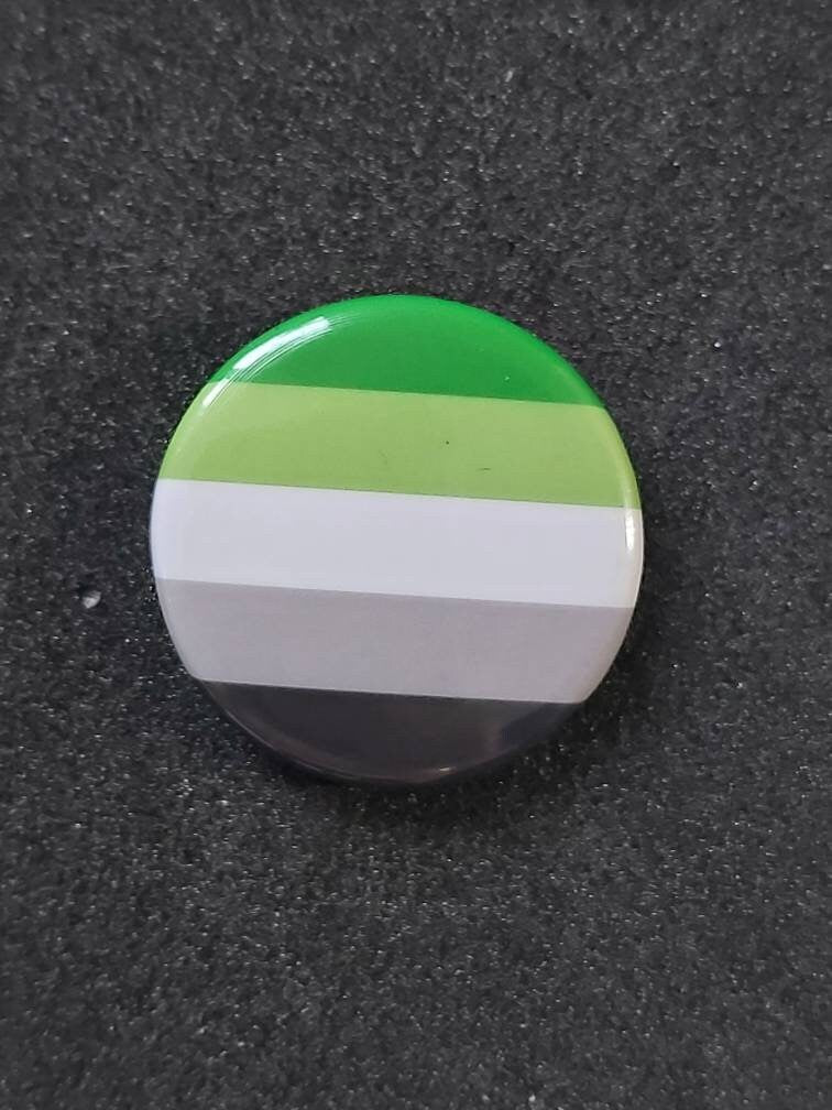 Aromantic lgbtqi+ pride pin