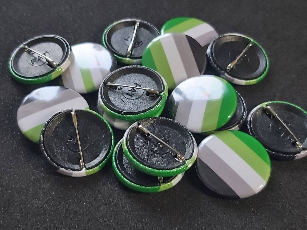 Aromantic lgbtqi+ pride pin